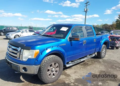 2009 Ford F-150 Fx4/King Ranch/Lariat/Platinum/Xl/Xlt z USA, uszkodzony, nr VIN 1FTPW14V19FA16758